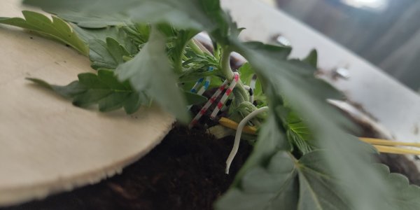 P50714-174331 (1).jpg