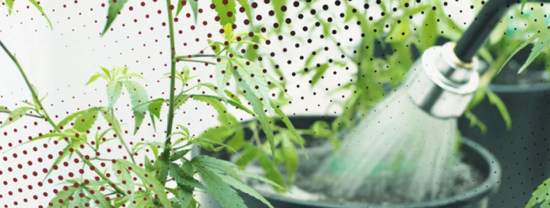 1753376149543.png 1753376149543.png