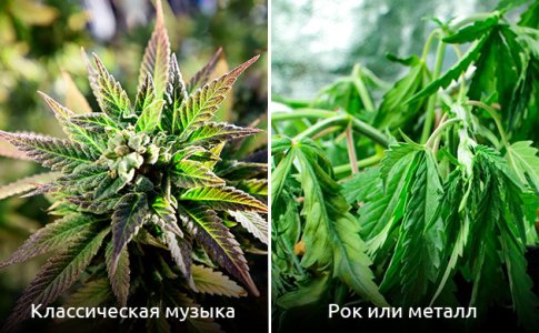 ritm-i-garmoniya-zvuchaniya__Ks588FFWZRBQ7npI.jpg ritm-i-garmoniya-zvuchaniya__Ks588FFWZRBQ7npI.jpg