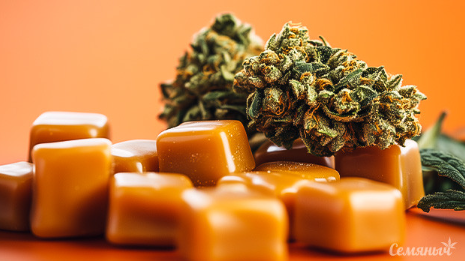 1754032589816.png 1754032589816.png