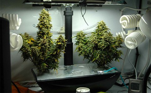 soberite-grouboks-svoimi-rukami__XQdamQJp7VmmCVb2.jpg soberite-grouboks-svoimi-rukami__XQdamQJp7VmmCVb2.jpg