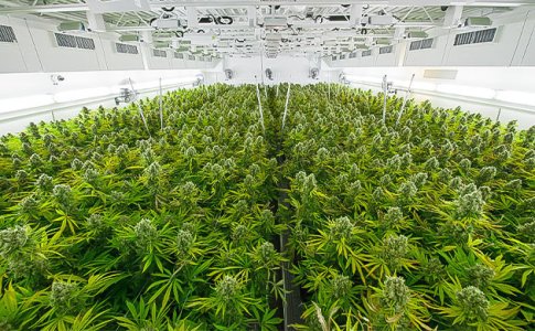 uvelichivajte-masshtaby-proizvodstva__O71Xs84IImMFhj16.jpg uvelichivajte-masshtaby-proizvodstva__O71Xs84IImMFhj16.jpg