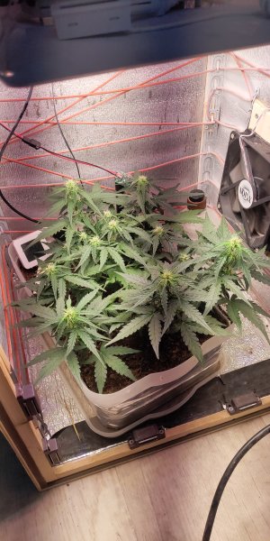 P50801-174235 (1) (1).jpg