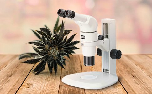 Soedinennyj-stereomikroskop__uYzGTfzMis0G1GL4.jpg Soedinennyj-stereomikroskop__uYzGTfzMis0G1GL4.jpg