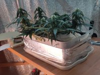 P50804-183605 (1)(1).jpg