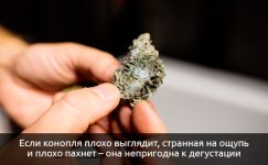 Izmeneniya-vo-vneshnem-vide__spRIt8cgft1wGmjN.jpg Izmeneniya-vo-vneshnem-vide__spRIt8cgft1wGmjN.jpg