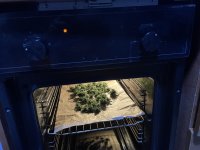 IMG_0166.jpeg IMG_0166.jpeg