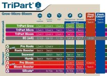 1000019811.jpg 1000019811.jpg