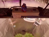 IMG_20250812_150703_235.jpg IMG_20250812_150703_235.jpg