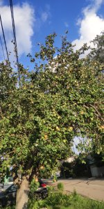 P50812-180743 (1).jpg