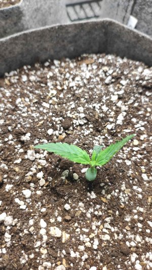 imgonline-com-ua-CompressBySize-wL8PrFeNg60.jpg imgonline-com-ua-CompressBySize-wL8PrFeNg60.jpg