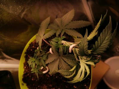 Джордж 27 04 22 2.jpg