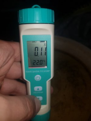 20220501_211326_optimized.jpg 20220501_211326_optimized.jpg