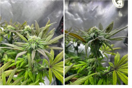 02.05 3.jpg 02.05 3.jpg