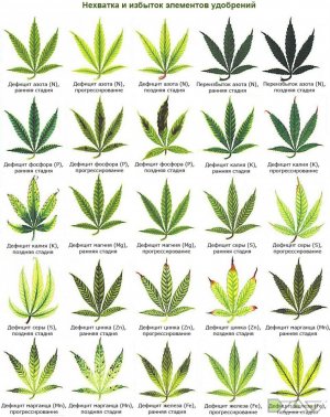 post-72352-0-12180400-1479457515.jpg post-72352-0-12180400-1479457515.jpg