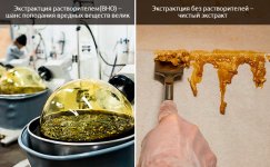 S-rastvoritelem-i-bez__tuPWACocVdECzDpg.jpg S-rastvoritelem-i-bez__tuPWACocVdECzDpg.jpg