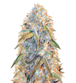 1755349035947.png 1755349035947.png