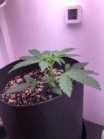 28.06.25 — копия.jpg