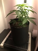 03.07.2025 — копия.jpg