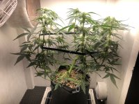 20.07.25 — копия.jpg