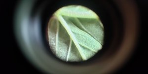 P50819-170400 (1).jpg