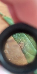 P50819-172123 (1).jpg