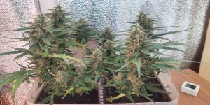 P50821-184759 (1).jpg