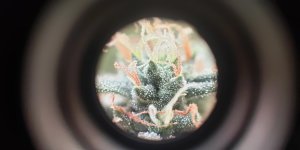 P50821-184616 (1).jpg