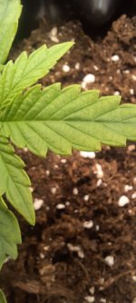 20250826_165546.jpg 20250826_165546.jpg