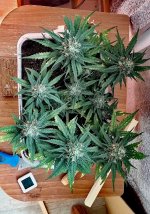 P50826-165753 (1)(1).jpg