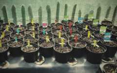 1756228110034.png 1756228110034.png