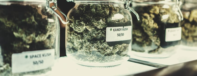 1756228206914.png 1756228206914.png