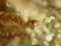 Photo_2025-08-29 08_44_05_342.png