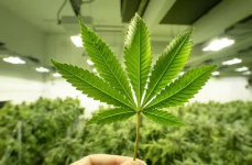 1756482725378.png 1756482725378.png