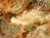 Photo_2025-09-05 06_34_29_475.png