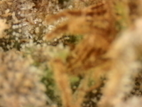 Photo_2025-09-05 06_35_10_715.png