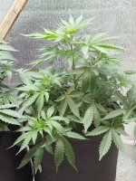 Изображение WhatsApp 2025-09-06 в 12.39.11_b4e0ce7a.jpg