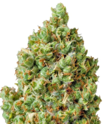 1757409929786.png 1757409929786.png