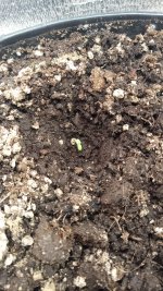 WhatsApp Image 2025-09-09 at 19.09.55.jpeg