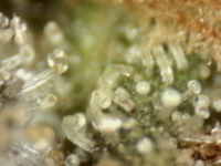 Photo_2025-09-10 06_37_51_633.png