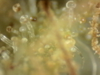 Photo_2025-09-10 06_39_55_947.png