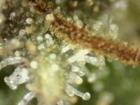 Photo_2025-09-10 06_43_25_520.png