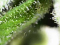 Photo_2025-09-10 19_21_59_441.JPG