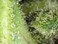 Photo_2025-09-10 19_21_23_927.JPG