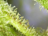 Photo_2025-09-10 19_20_44_836.JPG