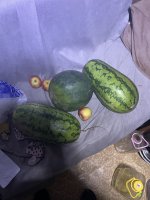 IMG_0502.jpeg IMG_0502.jpeg