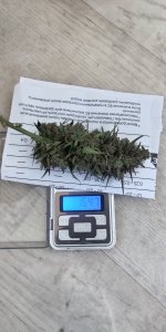 P50913-082928 (1).jpg