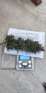 P50913-084231 (1).jpg