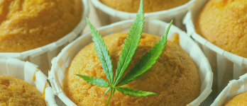 1758296858112.png 1758296858112.png