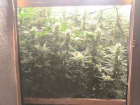 WhatsApp Image 2025-09-22 at 14.50.24.jpeg